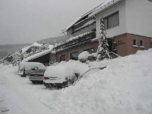 Hotel Haus Hubertus à Winterberg Extérieur photo