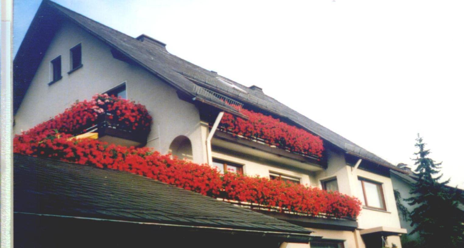 Hotel Haus Hubertus à Winterberg Extérieur photo
